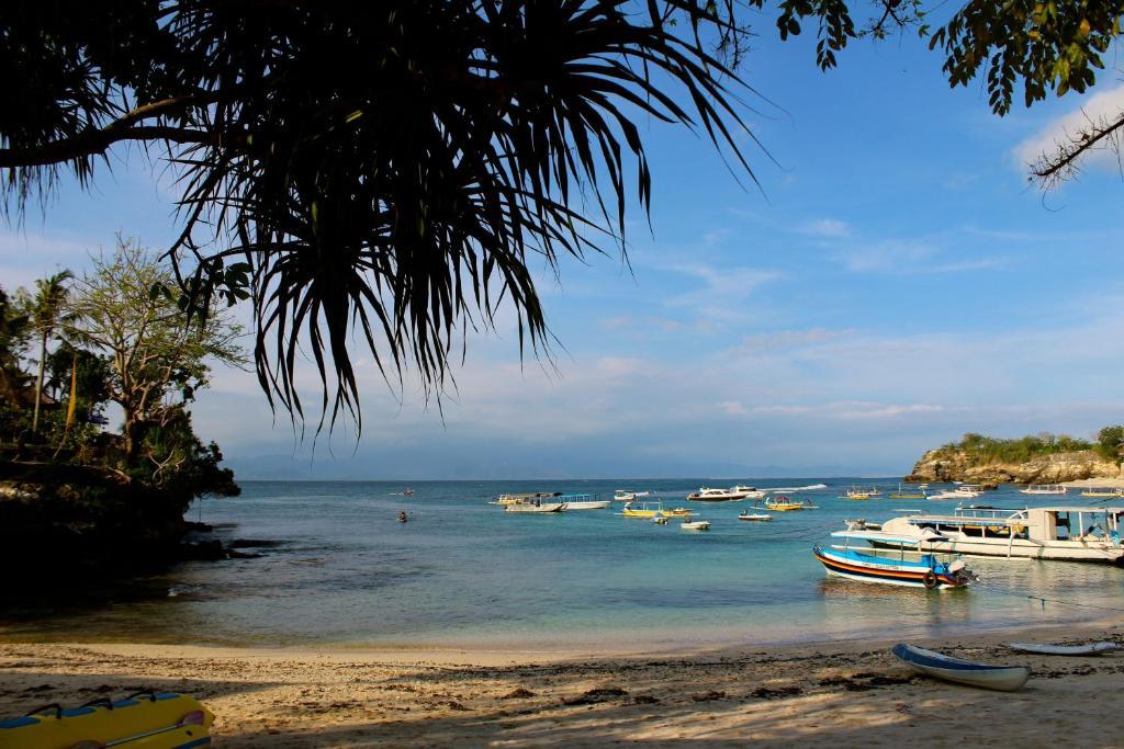 Molamola House Hotel Nusa Lembongan  Bilik gambar
